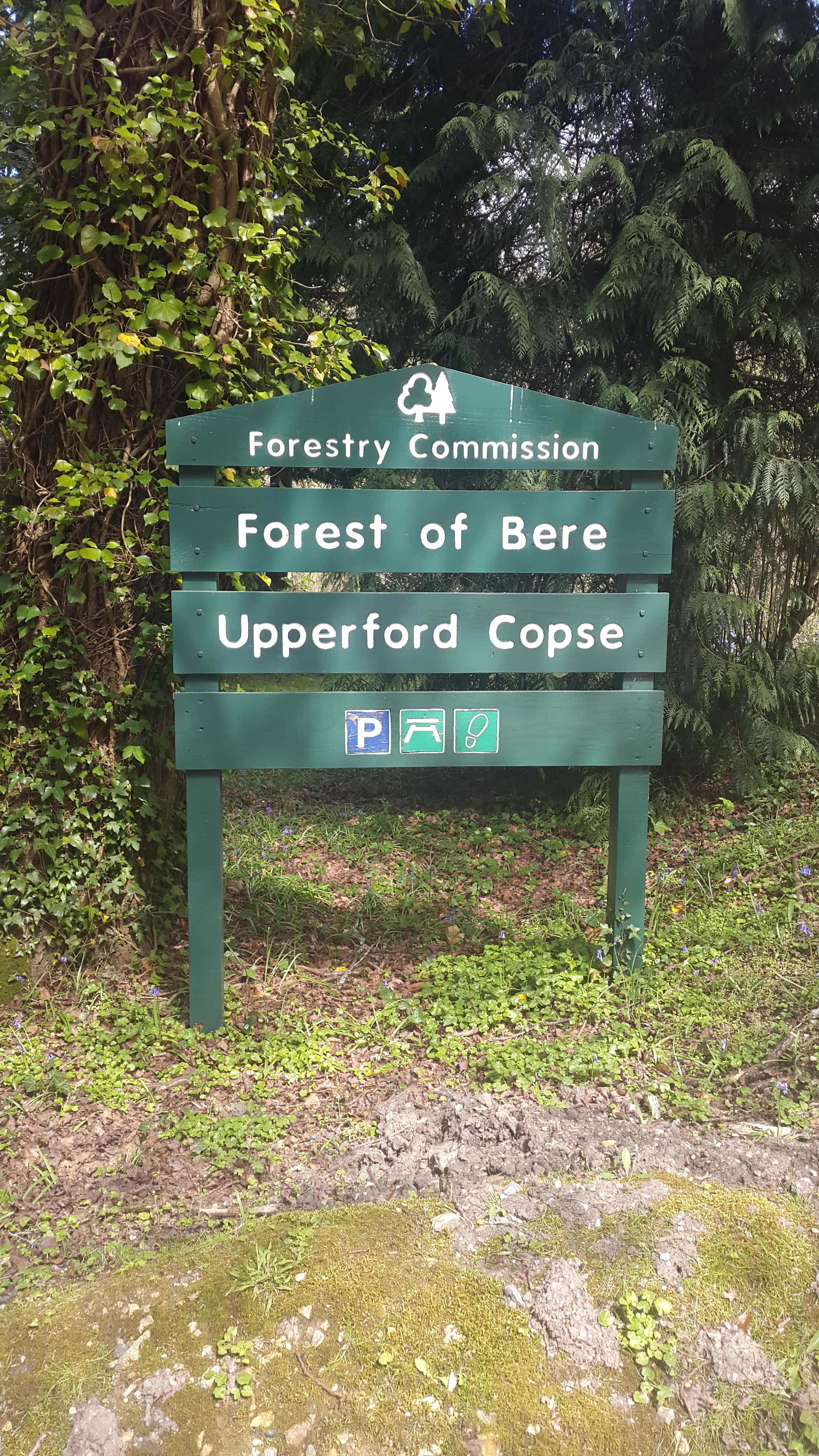 Forest of Bere, Upperford Copse