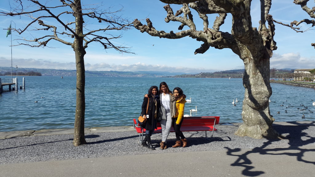 Rapperswil Harbour and Lake Zurich