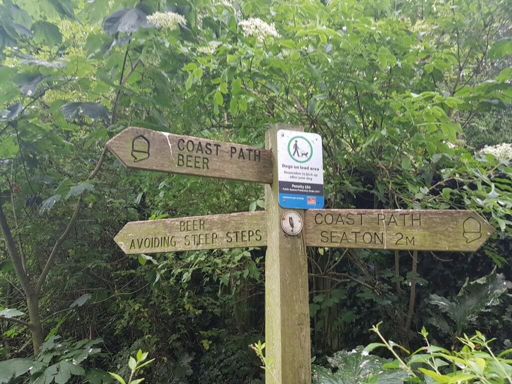 Beer Beach, seaton, devon