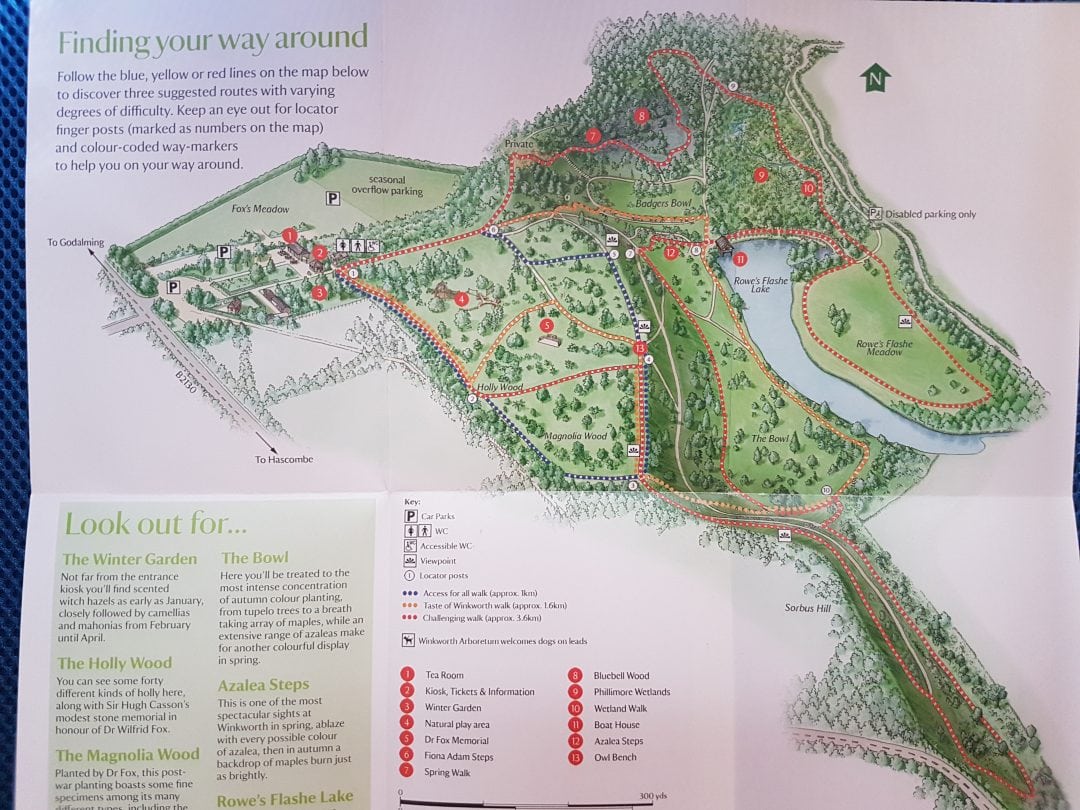 Winkworth Arboretum, Godalming - 🏅TravBlog.com - Travel tips, things to ...