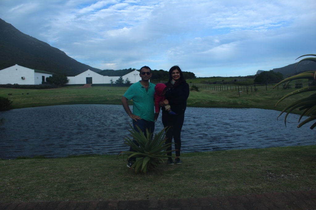 Cape Point Ostrich Farm